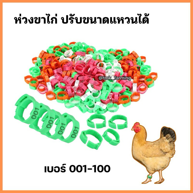 ห่วงขาไก่ รัดขาไก่ ห่วงคัดสายพันธุ์ 100เบอร์ เบอร์ 001-100 ปรับขนาดได้