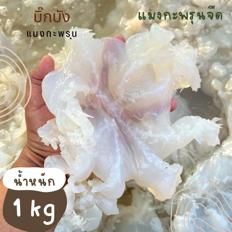 แมงกะพรุนจืด-เค็ม 1.1 กิโลกรัม พร้อมทาน