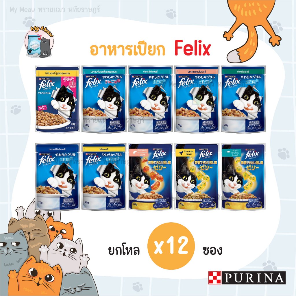 [ยกโหล 12 ซอง] Purina Felix เฟลิกซ์ อาหารเปียกแมว สูตรลูกแมว สูตรแมวโต ในเยลลี่ ขนาด 85 กรัม