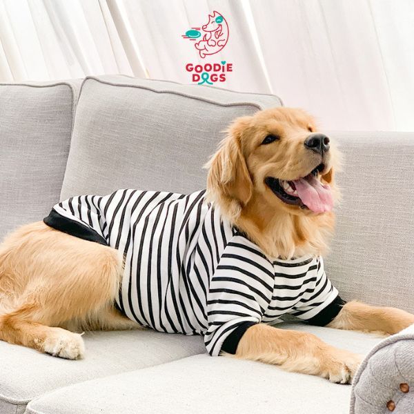 เสื้อสัตว์เลี้ยงลายขวาง ดำขาว เสื้อสุนัขใหญ่ โดย Goodie dogs