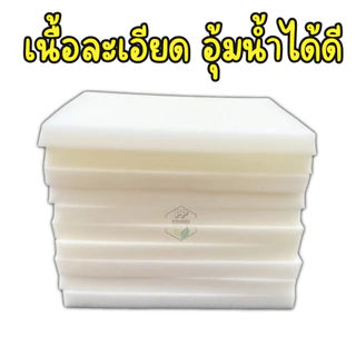 ฟองน้ำปลูกผักไฮโดรโปนิกส์ ฟองน้ำเพาะต้นกล้า ฟองน้ำแบบละเอียด มีขอบ