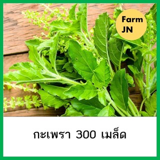 เมล็ดผักกะเพรา เมล็ดผักสวนครัว เมล็ดผัก5บาท