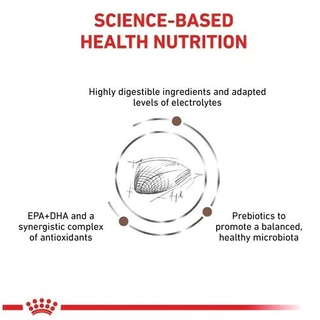 Royal Canin GastroIntestinal 400 g. อาหารแมว ประกอบการรักษาโรคระบบทางเดินอาหาร ถ่ายเหลว