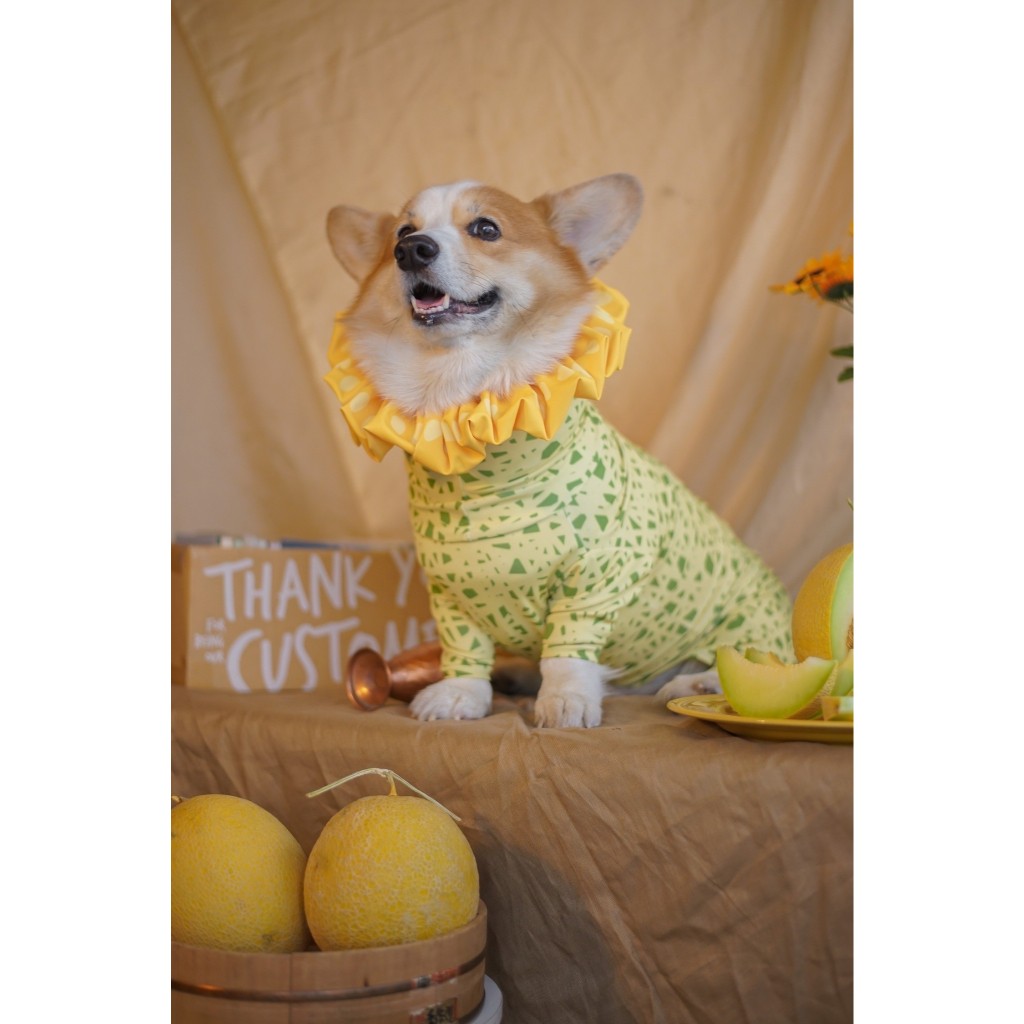 หมวกเก็บหู ลายเมล่อน