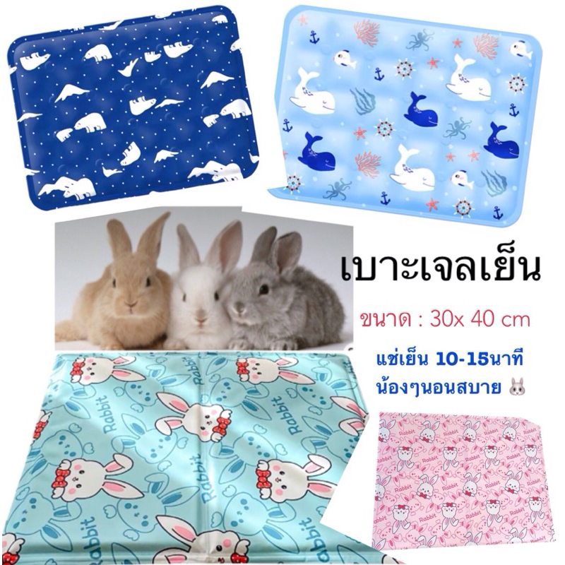 ที่นอนเย็น / ที่นอนรุ่นเติมน้ำเย็น-น้องกระต่าย/ สัตว์เลี้ยงขนาดเล็ก ** ขนาด 30x 40 cm