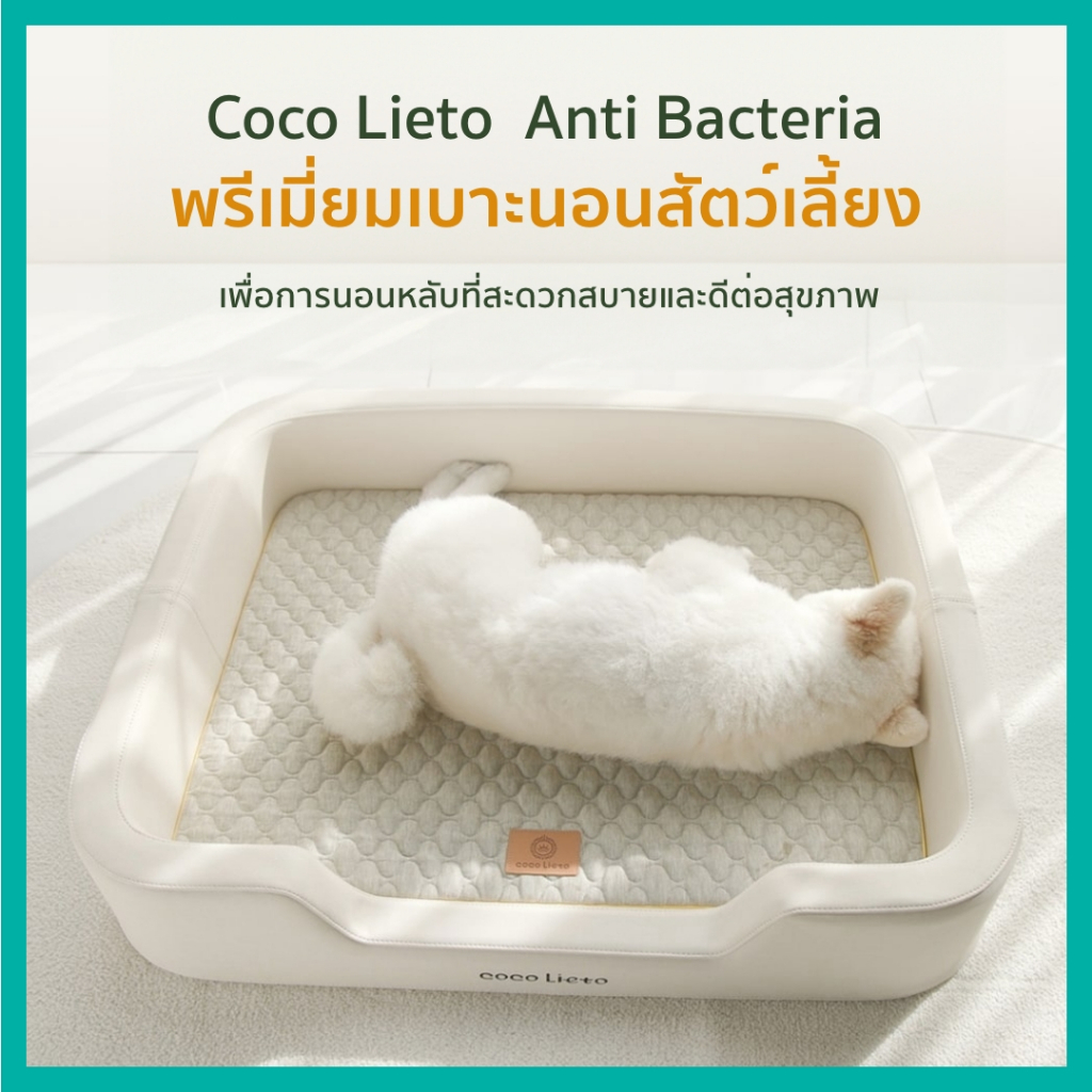Coco Lieto Anti Bacteria เบาะนอนสัตว์เลี้ยงพรีเมี่ยม ที่นอนหมา ที่นอนแมว ที่นอนสัตว์เลี้ยง