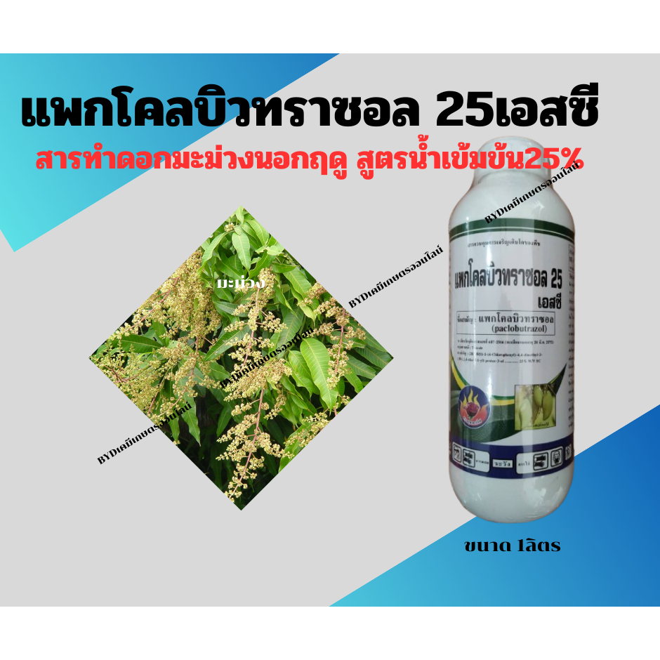 แพกโคลบิวทราซอล25เอสซี ขนาด1ลิตร สารทำดอกนอกฤดู ของมะม่วง และทุเรียน สูตรเข้มข้น 25%SC