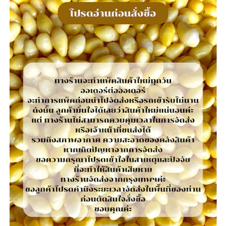 แปะก๊วย(1 กิโลกรัม) ไว้ทำทำขนมหวาน เต้าทึง บ๊ะจ่าง ฯลฯ ลูกค้าโปรดอ่านรายละเอียดก่อนสั่งซื้อ