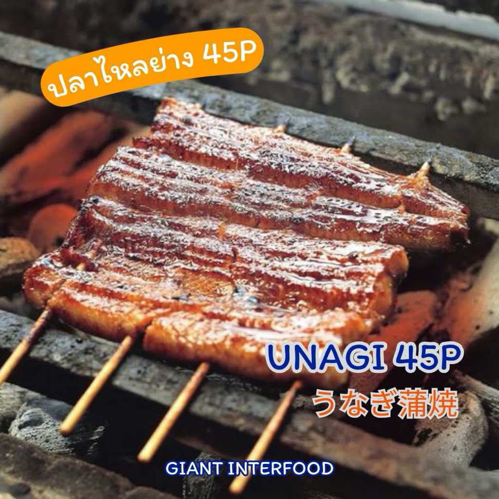 ปลาไหลย่างญี่ปุ่น size 45P!!! (UNAGI KABAYAKI 45P) 🎏