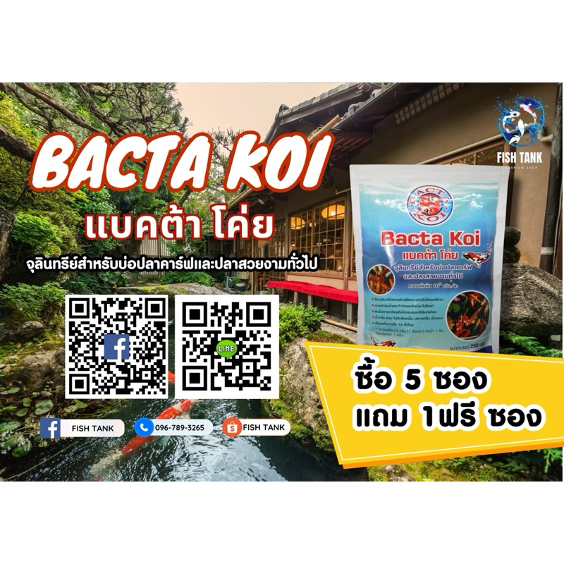 Bacta Koi(แบคต้า โค่ย) จุลินทรีย์สำหรับบ่อปลาคาร์ปและปลาสวยงามทั่วไป ขนาด250กรัม