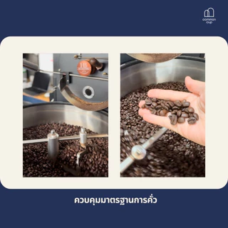 เมล็ดกาแฟคั่ว Brazil - MILK MORE หอม Dark Chocolate , Nutty สำหรับคนชอบกาแฟเข้ม หรือ กาแฟนม