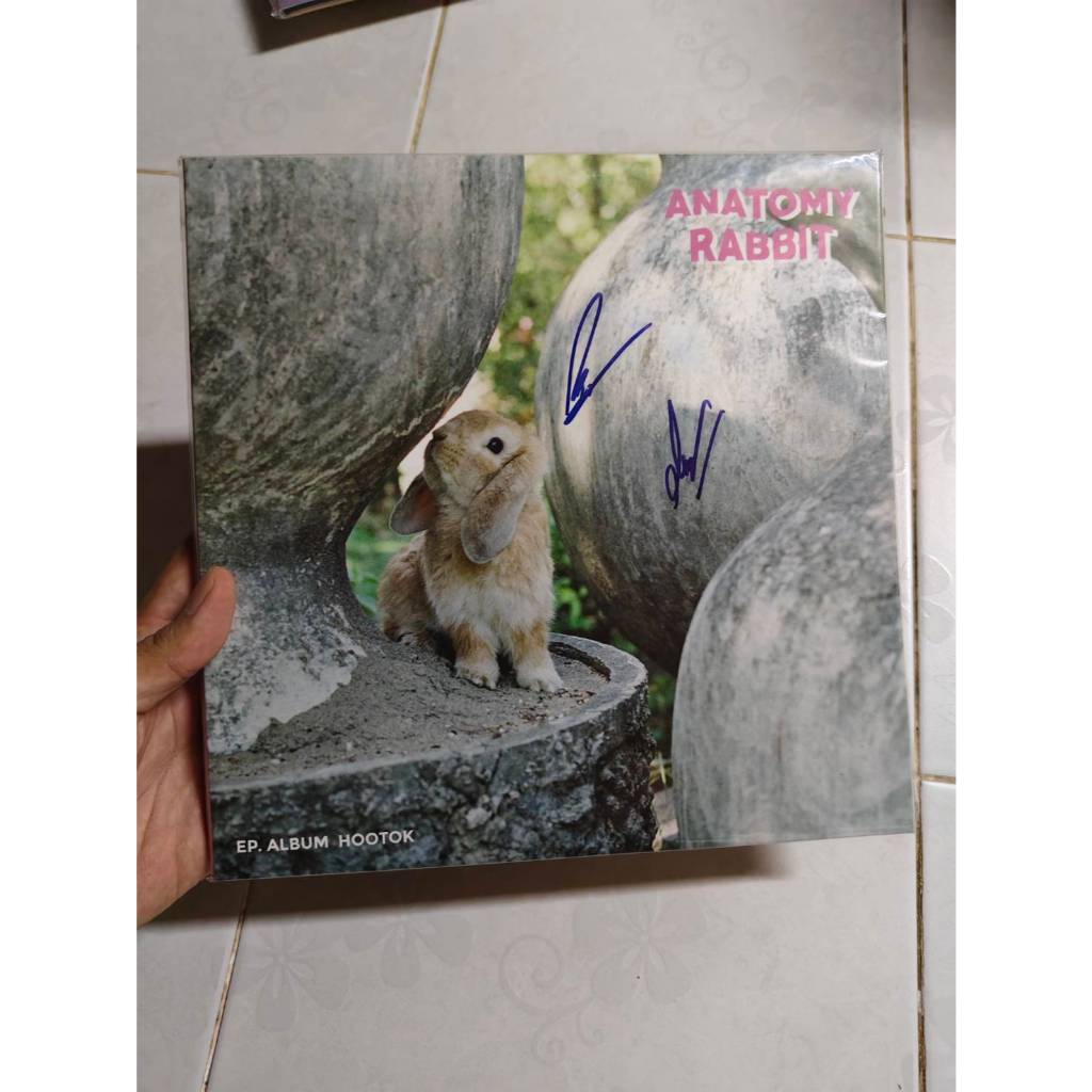 แผ่นเสียง Anatomy Rabbit  EP. album hootok พร้อมลายเซ็น