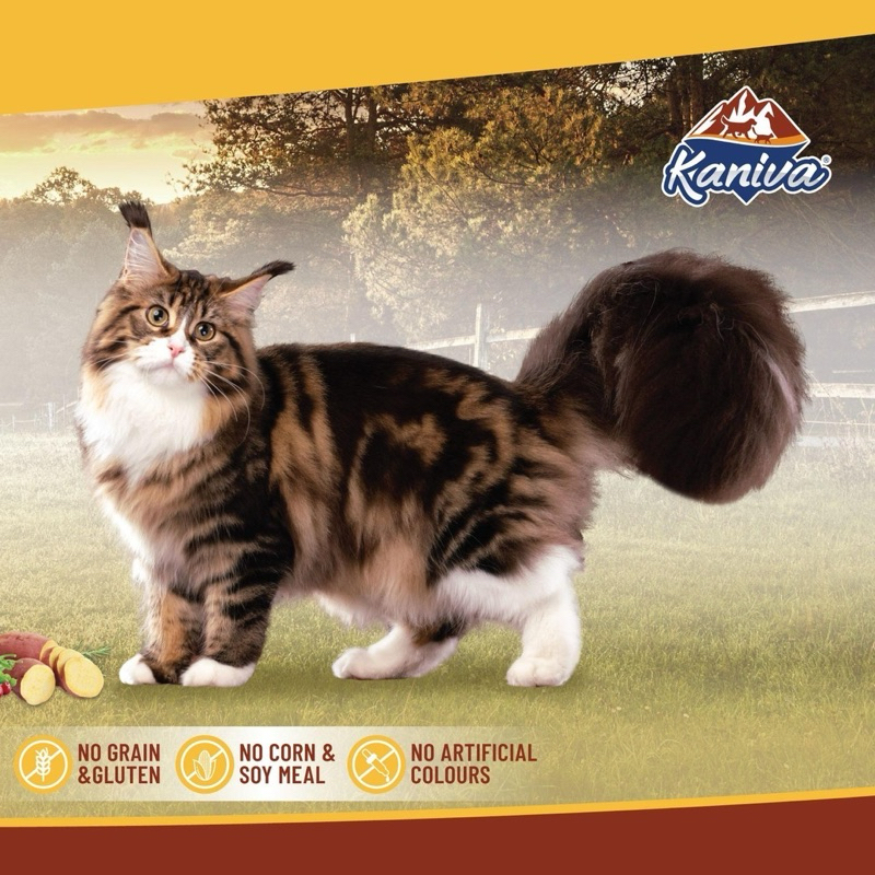 Kaniva อาหารเม็ดแมว สูตรเกรนฟรี โซเดียมต่ำ สำหรับแมวทุกช่วงวัย ขนาด 7-8kg - รูปที่ 3