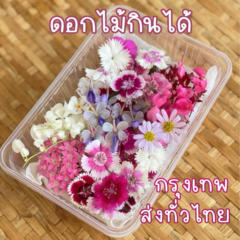 ดอกไม้กินได้ออร์แกนิก 🌸 คละดอก ไซส์ XS 40-50 ดอก แต่งจาน แต่งเค้ก ฟาร์มมาตรฐาน GAPhh