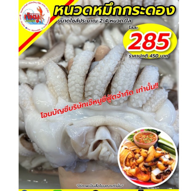 หนวดหมึกกระดองยักษ์ 2-4 1/kg.
