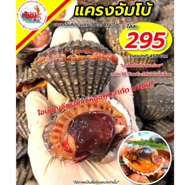 หอยแครงจัมโบ้ ตัวใหญ่ 10-30ตัว/โล สดๆ