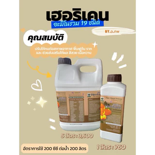 เฮอริเคน ขนาด 5 ลิตร อะมิโนรวม 19 ชนิดที่จำเป็นต่อทุเรียน พืช ทนต่อสภาพอากาศ ฟื้นฟูต้น ผลสวย เนื้อหวาน