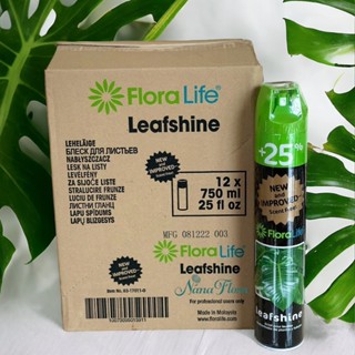 สเปรย์ใบมัน 1 ลัง (12 กระป๋อง) สเปรย์เคลือบเงาใบไม้ 750 ML L…