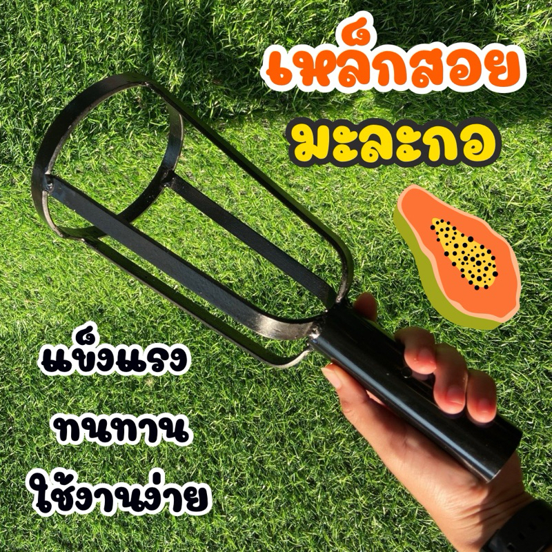 เหล็กสอยมะละกอ ตะกร้อเหล็กสอยมะละกอ แข็งแรง ทนทาน ใช้งานง่าย Kaset Ban Gie