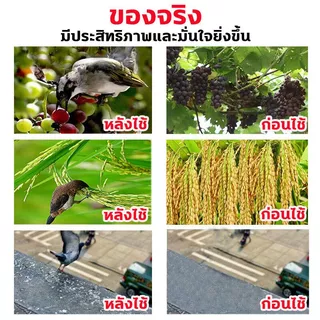 🦜50 ปีไม่มีนก🐦ไล่นก ก้อนไล่นกพิราบ ก้อนไล่นกพิราป 12เม็ด/กล่อง กลิ่นขับไล่นก กันนกออกไปได้อย่างง่ายดาย ไม่กลัวฝน ผลที่ยา