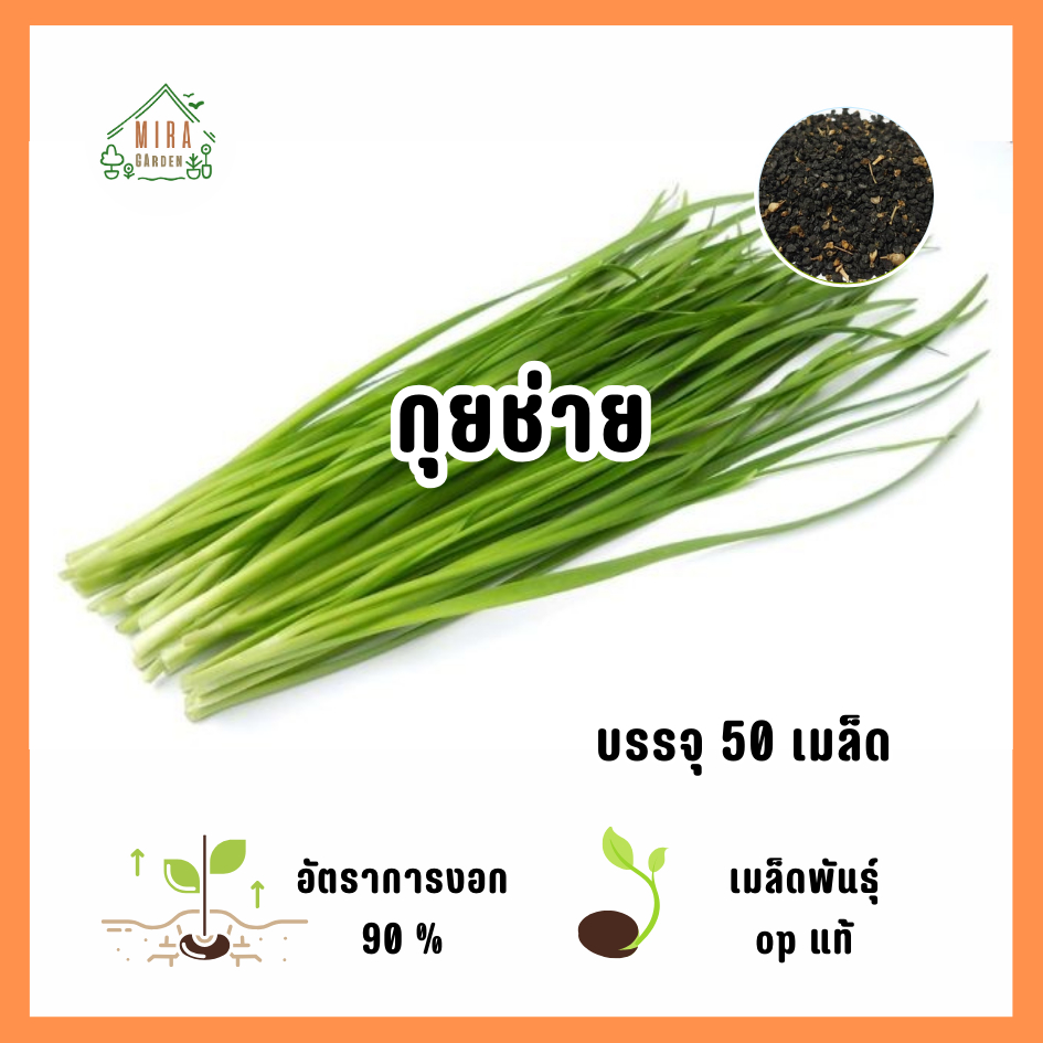 เมล็ดพันธุ์ กุยช่าย บรรจุ 50 เมล็ด