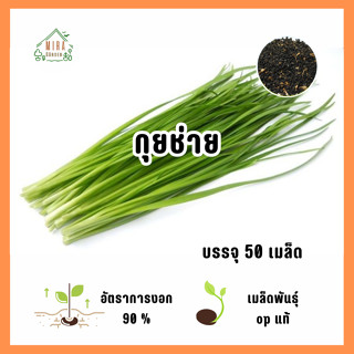 เมล็ดพันธุ์ กุยช่าย บรรจุ 50 เมล็ด