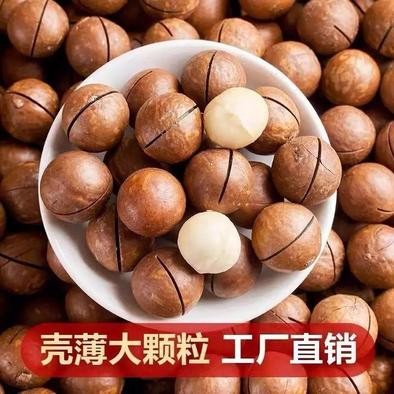 แมคคาเดเมียอบ 500กรัม พร้อมส่งจากไทย (Macadamia) พร้อมทาน *ฟรีที่แกะ*แมคคาเดเมีย ถั่วแมคคาเดเมีย ถั่ว ธัญพืช 夏威夷果