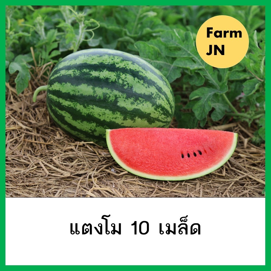 เมล็ดแตงโม เมล็ดพันธุ์ผัก เมล็ดผักสวนครัว เมล็ดผัก5บาท