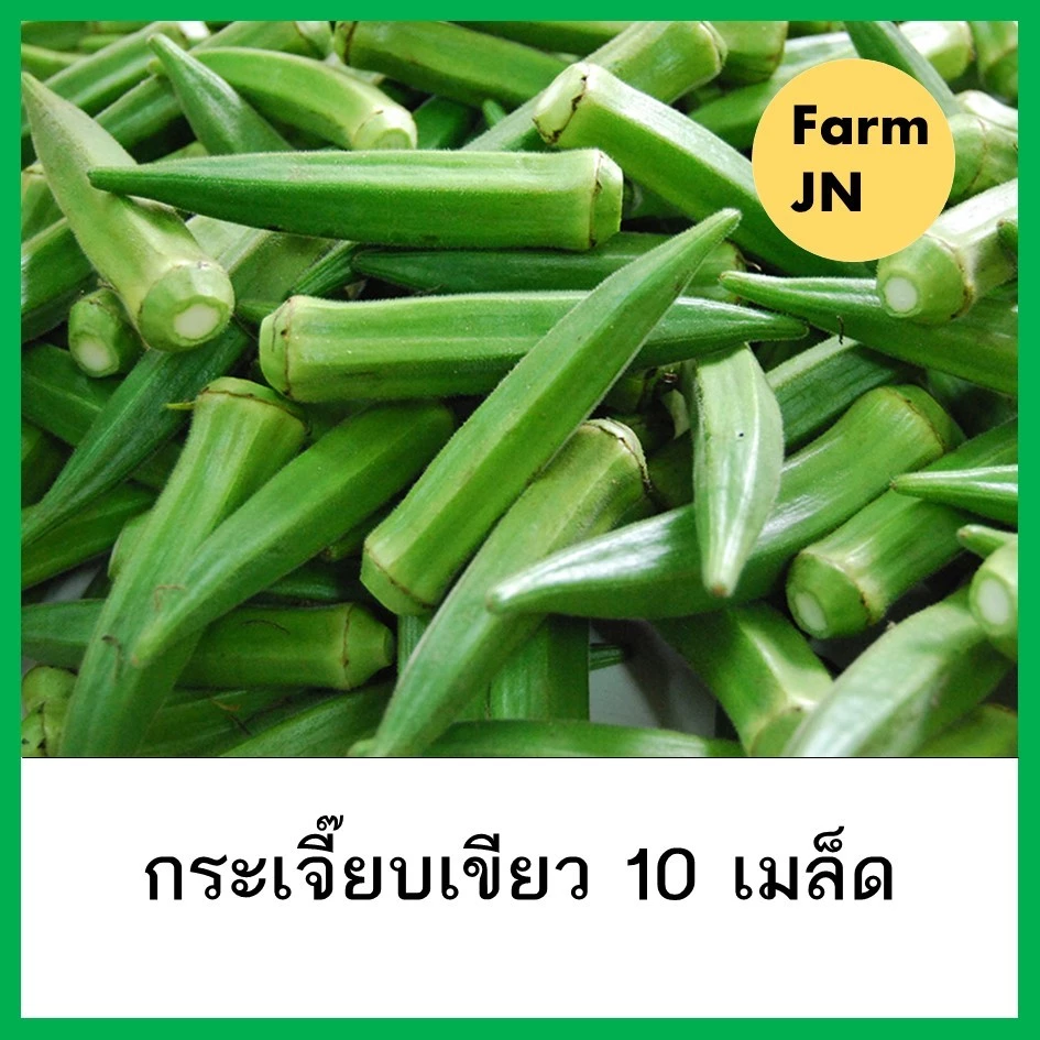 เมล็ดกระเจี๊ยบเขียว เมล็ดผัก เมล็ดพันธุ์ผัก ผักสวนครัว กระเจี๊ยบเขียว 10แถม1คละได้
