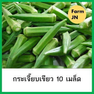เมล็ดกระเจี๊ยบเขียว เมล็ดผัก เมล็ดพันธุ์ผัก ผักสวนครัว กระเจี๊ยบเขียว 10แถม1คละได้