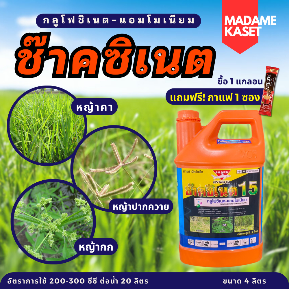 ช๊าคซิเนต (กลูโฟซิเนต-แอมโมเนียม 15%) 4 ลิตร สารกำจัดวัชพืช หญ้าปากควาย สาบม่วง กก หญ้าคา ออกฤทธิ์เผาไหม้ ตายทุกหญ้า