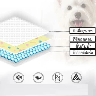 แผ่นรองฉี่สัตว์เลี้ยง ซักใช้ซ้ำได้ ผ้าซับฉี่ ผ้ารองฉี่หมา เเมว กระต่าย เมเปิ้ล maple สุนัข คลุมเบาะ ซึมซับได้ดี มีกันลื่