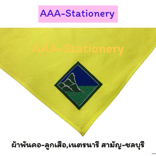 อุปกรณ์ลูกเสือสามัญ หมวกปีก สำหรับนักเรียน ป.4-ป.6