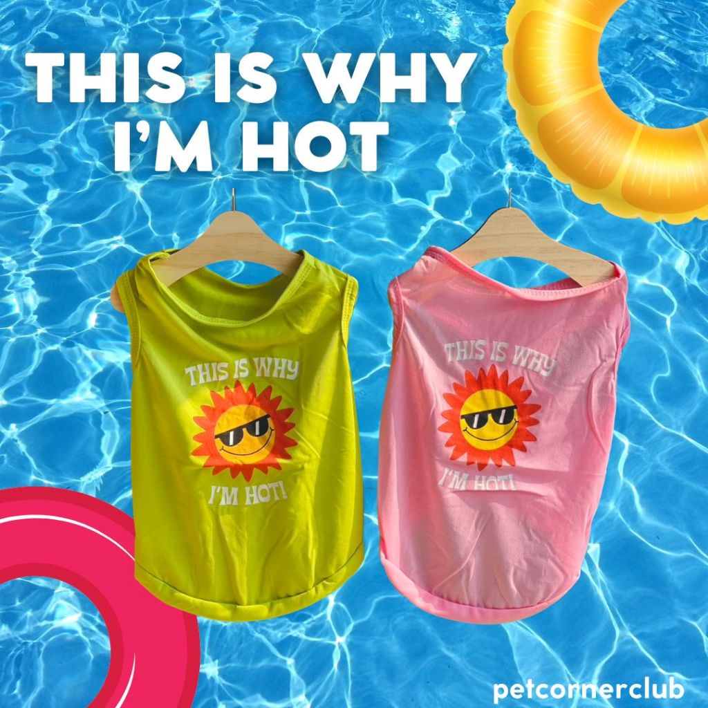 𝙏𝙝𝙞𝙨 𝙞𝙨 𝙬𝙝𝙮 𝙞’𝙢 𝙝𝙤𝙩