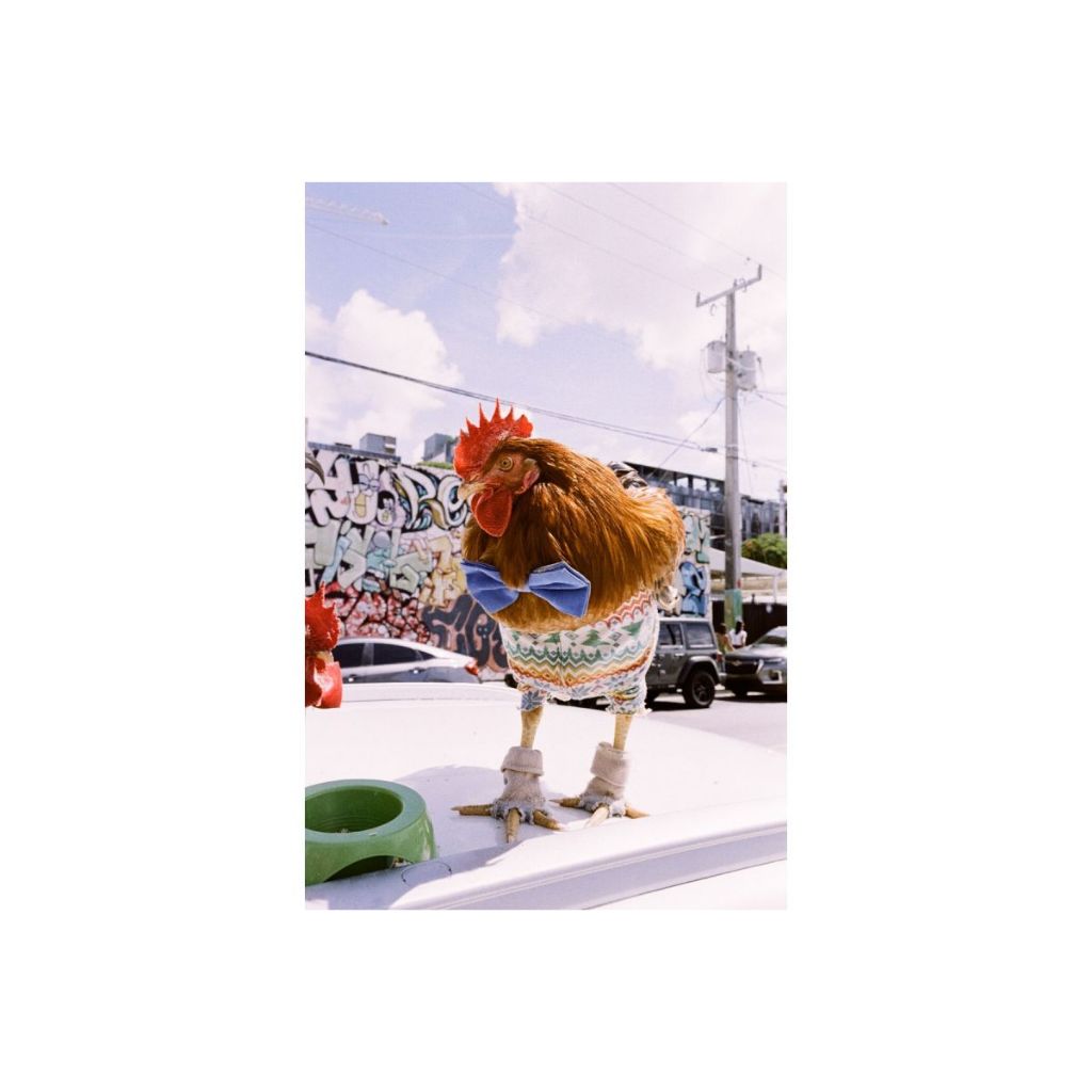ฟิล์มสี LomoChrome Metropolis 110 ISO 100–400 รุ่นปี 2021 / Film Lomography ฟิล์ม Lomo ฟิล์มโลโม่ Film 110