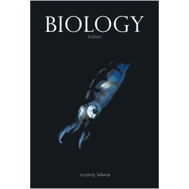 BIOLOGY ชีววิทยา ชีวะ  ปลาหมึก  กระพรุน กระเบน เต่า | Biology | ชีววิทยา | POSN biology | สอวน | สอวนชีวะ thumbnail 3