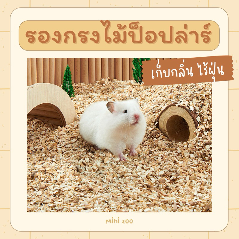 (พร้อมส่ง) รองกรงไม้ป็อปล่าร์ รองกรงไร้ฝุ่น รองกรงแฮมสเตอร์ กระต่าย แกสบี้
