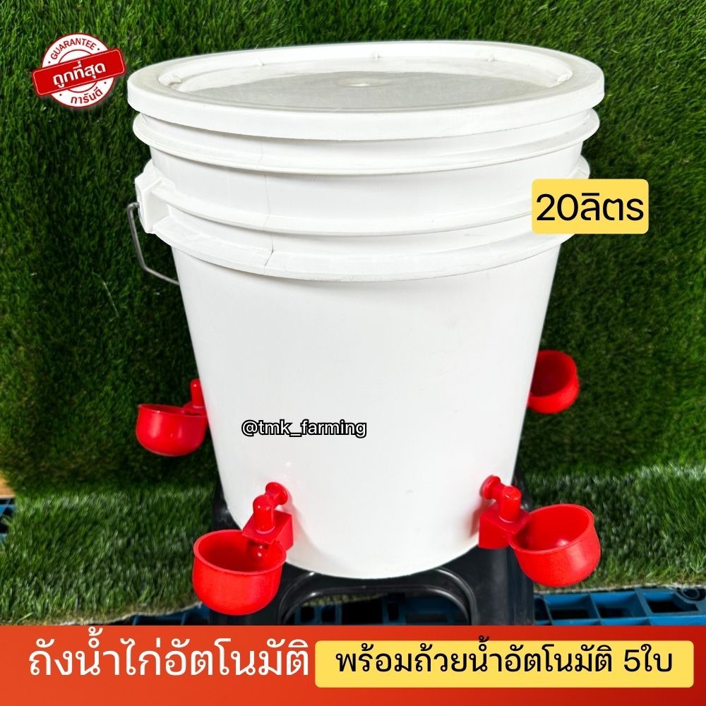 ถังให้น้ำไก่อัตโนมัติ​พร้อมใช้งาน ขนาด 20ลิตร พร้อมถ้วยเติมน้ำไก่อัตโนมัติ 5 ใบ