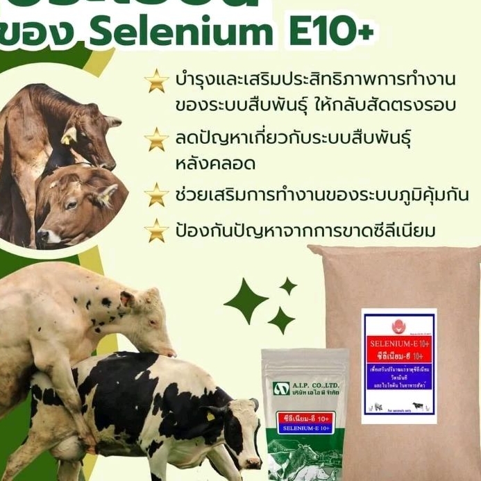 ซีลีเนียม อี 10+ selenium E10+ 1 กก. เสริมวัว หมู ไก่ ปลา กุ้ง