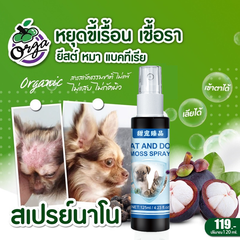 จัดส่งวันนั้น คัน ผื่นแดง ขนร่วง ยาแก้เรื้อนหมา ผิวหนังอักเสบ ตุ่มคัน ขี้เรื้อนเรื้อรัง สเปรย์รักษาขี้เรื้อนหมาแมว