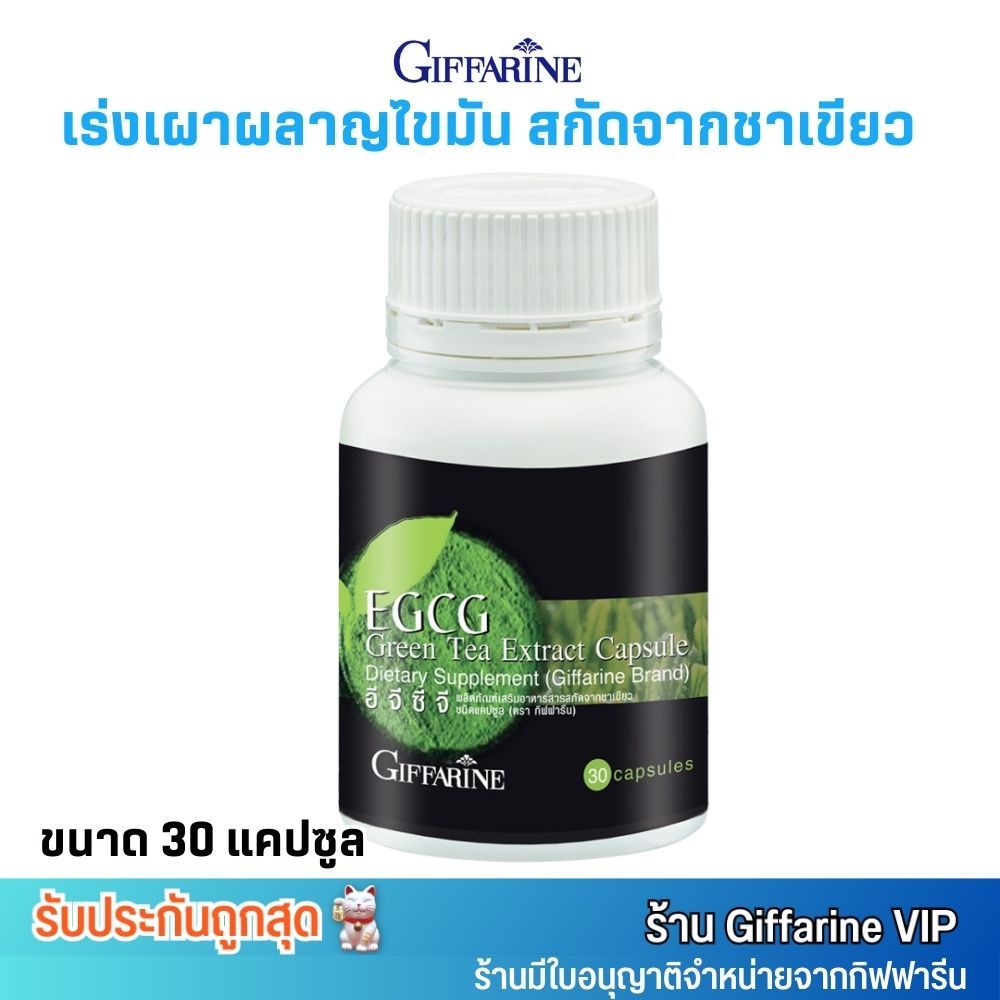 กิฟฟารีน ชาเขียวสกัด เผาผลาญไขมัน ลดคอเลสเตอรอล อีจีซีจี (30 แคปซูล) Giffarine EGCG