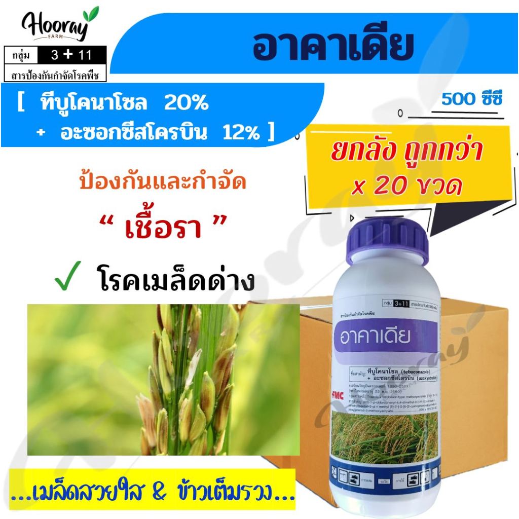 ยกลัง อาคาเดีย 500 cc x 20 ขวด ( ทีบูโคนาโซล + อะซอกซีสโตรบิน ) ป้องกันกำจัด เมล็ดด่าง นาข้าว
