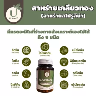U.Spiral สาหร่ายเกลียวทอง spirulina 500 มก. สไปรูลิน่า ชนิดแคปซูล เสริมสารอาหาร บรรจุ 60 แคปซูล