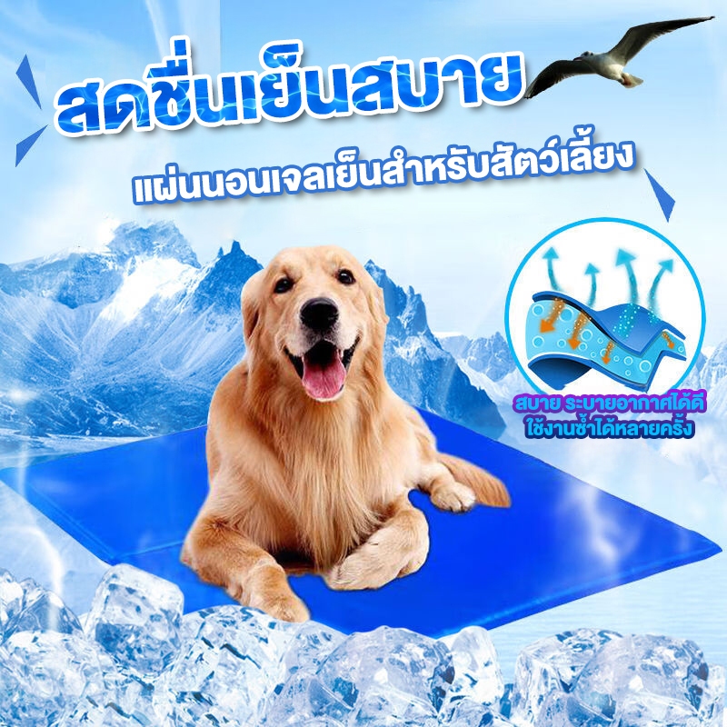 แผ่นเจลเย็นสุนัข ที่นอนเจลเย็น ที่นอนสัตว์เลี้ยง ที่นอนเย็น แผ่นเจลเย็นแมวสุนัข แผ่นทำความเย็น