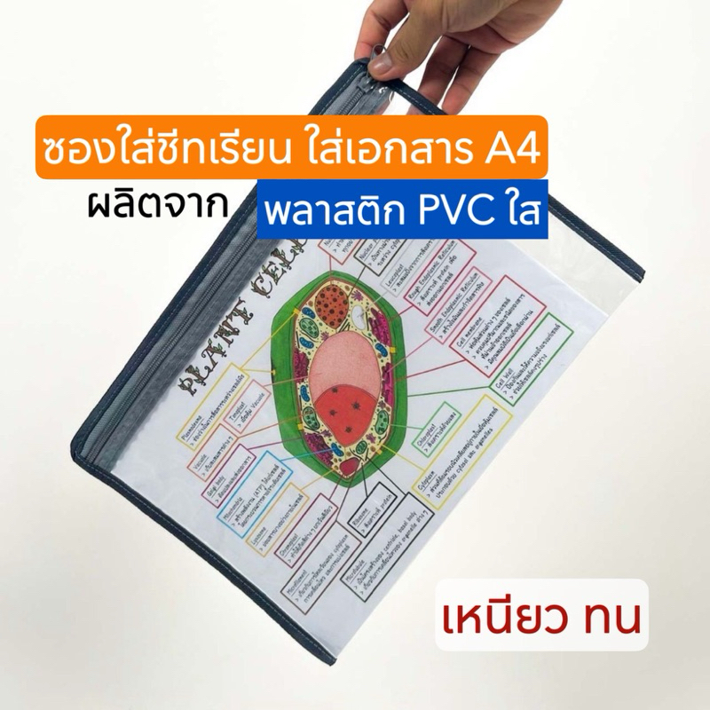 ซองใส่เอกสารขนาด A4 ซองใส่ชีทเรียน ซองใส่เอกสารสำนักงาน