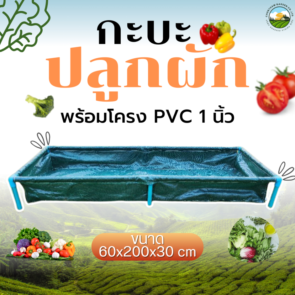 (ร้านแรกมีร้านเดียว)กะบะปลูกผัก กระบะปลูกผัก พร้อมโครง PVC 1 นิ้ว ขนาด 60x200x30 cm (ของแท้)"