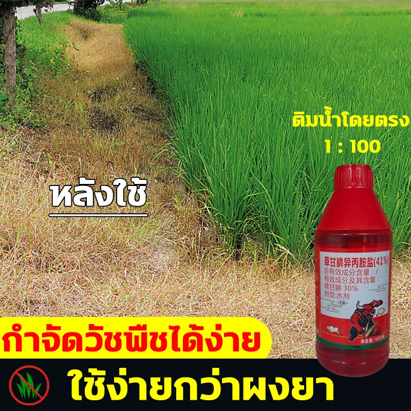 กำจัดวัชพืชได้ง่าย HYLยาฆ่าหญ้า 1 ขวด 200cc 1 ไร่ 1 ขวดก็พอ ยากำจัดต้นไม้ ผงกำจัดวัชพืช สารกำจัดก่อไผ่ ยาฆ่ากอไผ่