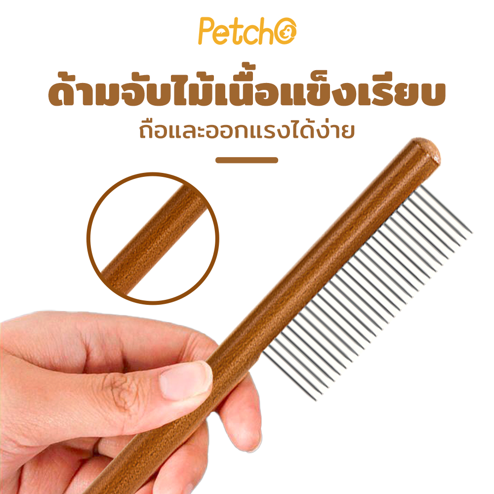 รูปภาพ 5