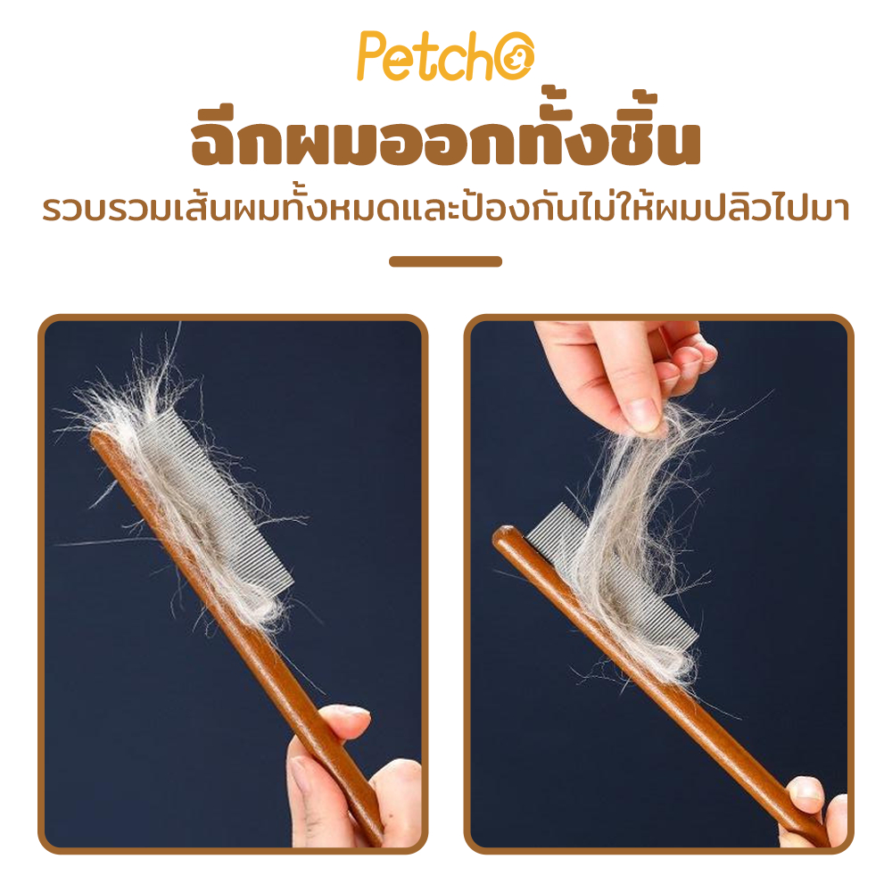 รูปภาพ 6