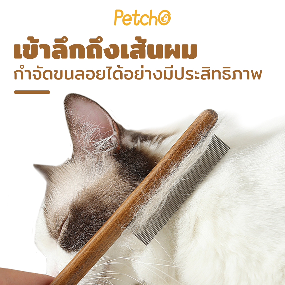 รูปภาพ 8